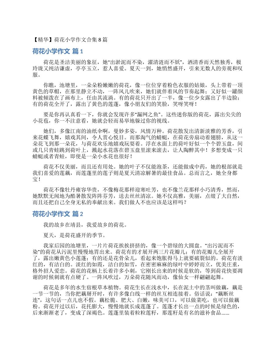 荷花小学作文合集8篇_第1页