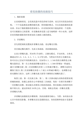 荷花拍摄的高级技巧