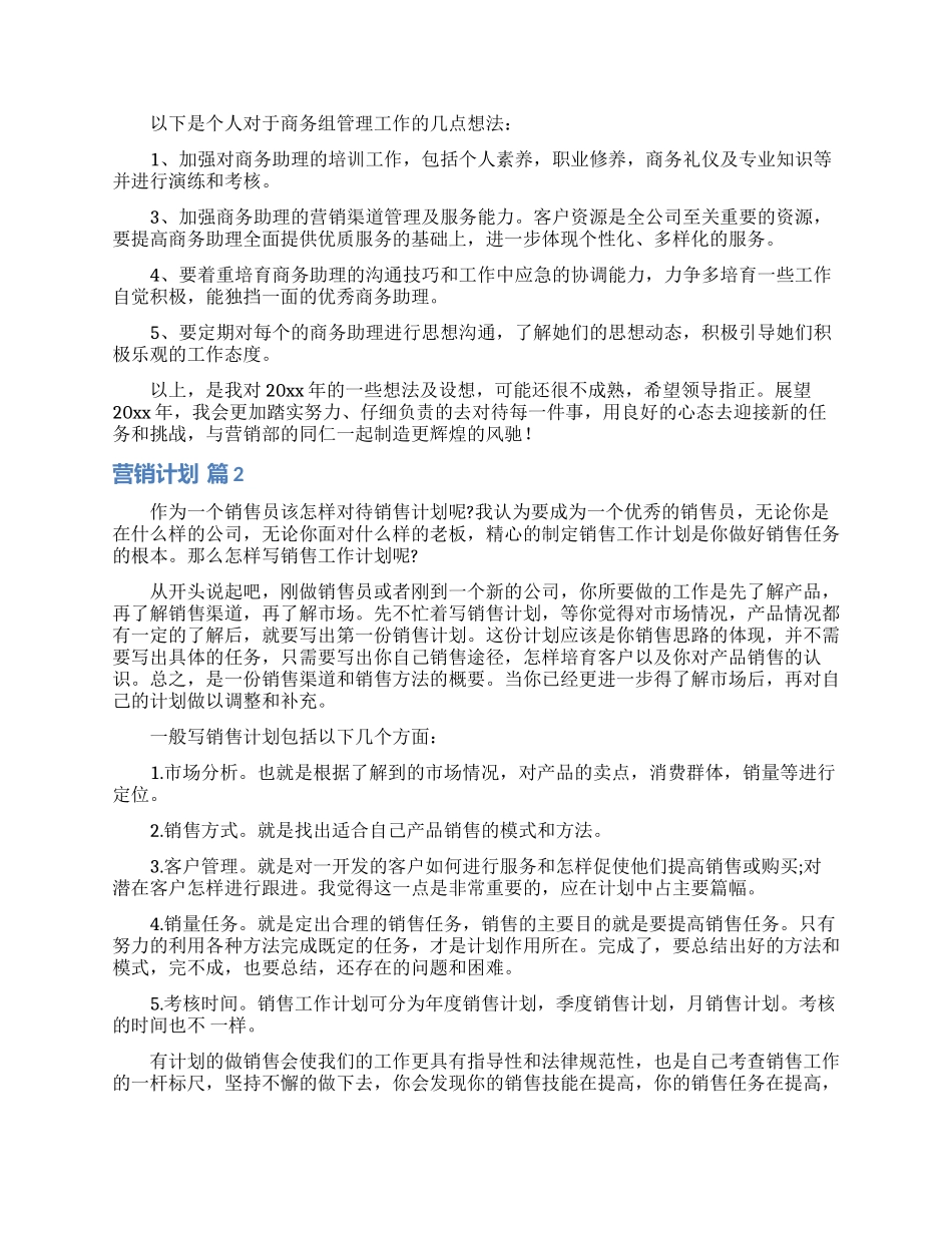营销计划模板汇总六篇_第2页