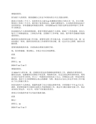 营销顾问辞职报告2024