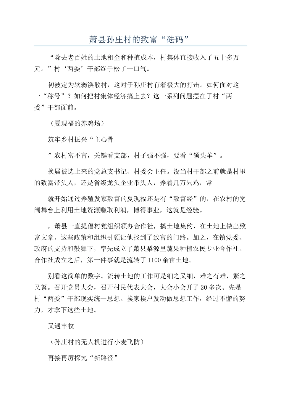萧县孙庄村的致富“砝码”_第1页