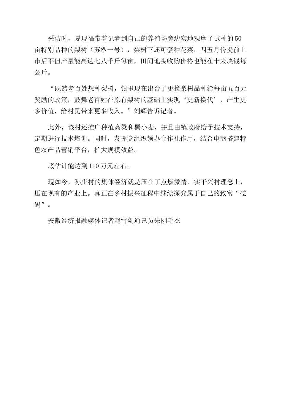 萧县孙庄村的致富“砝码”_第3页