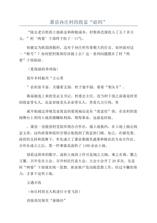 萧县孙庄村的致富“砝码”