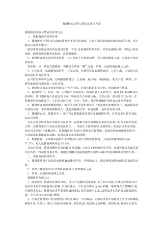 葛根粉的功效与禁忌及食用方法