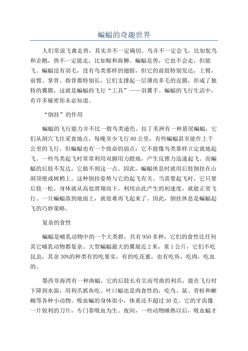 蝙蝠的奇趣世界_第1页