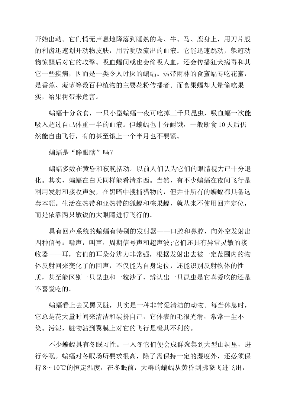 蝙蝠的奇趣世界_第2页