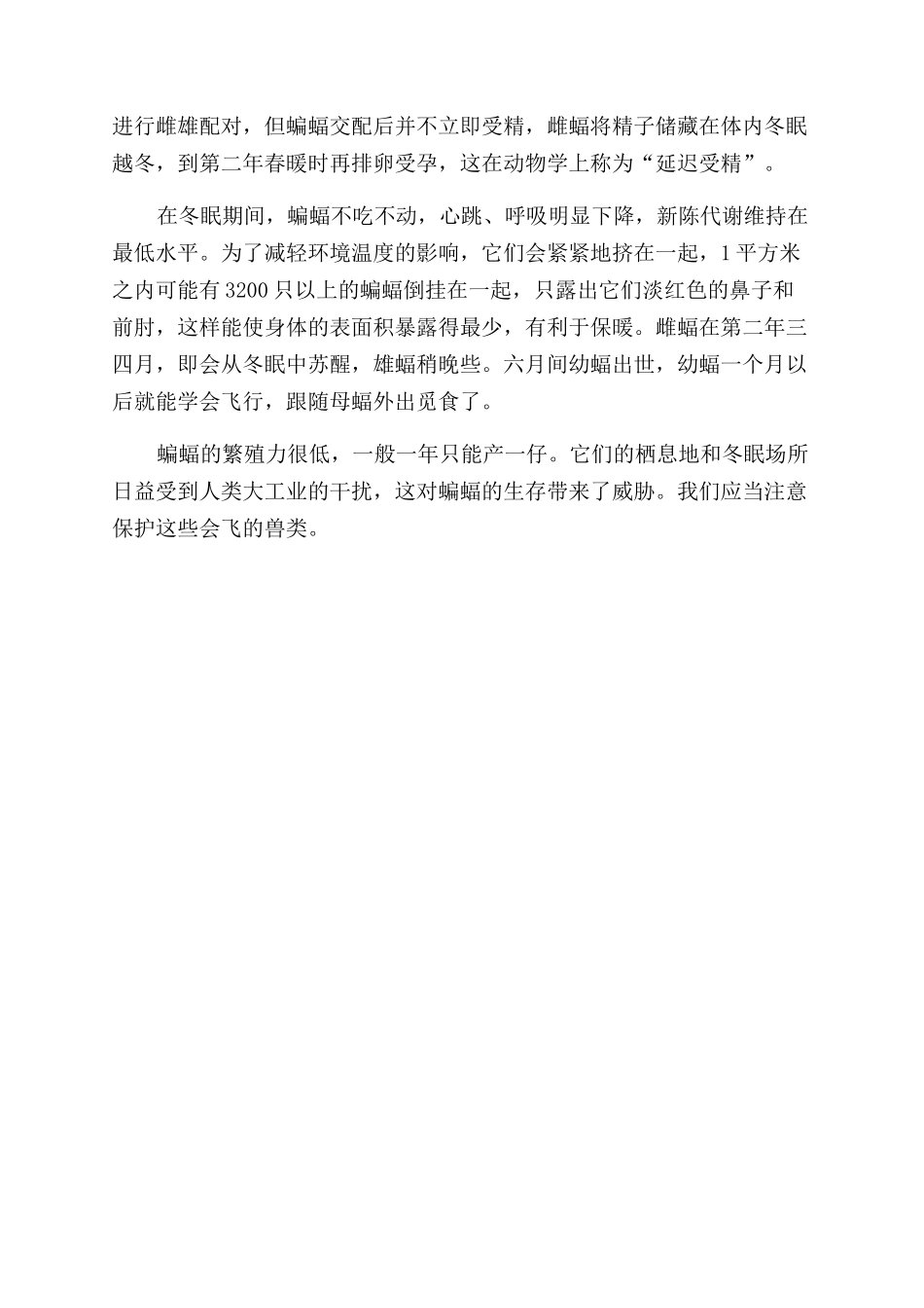 蝙蝠的奇趣世界_第3页