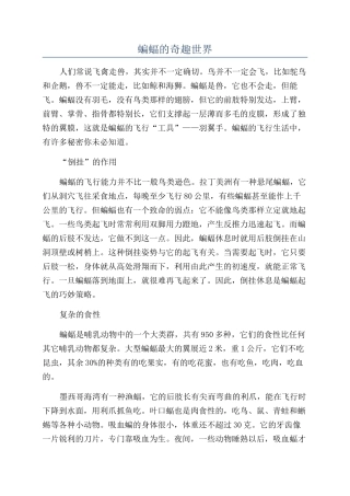 蝙蝠的奇趣世界
