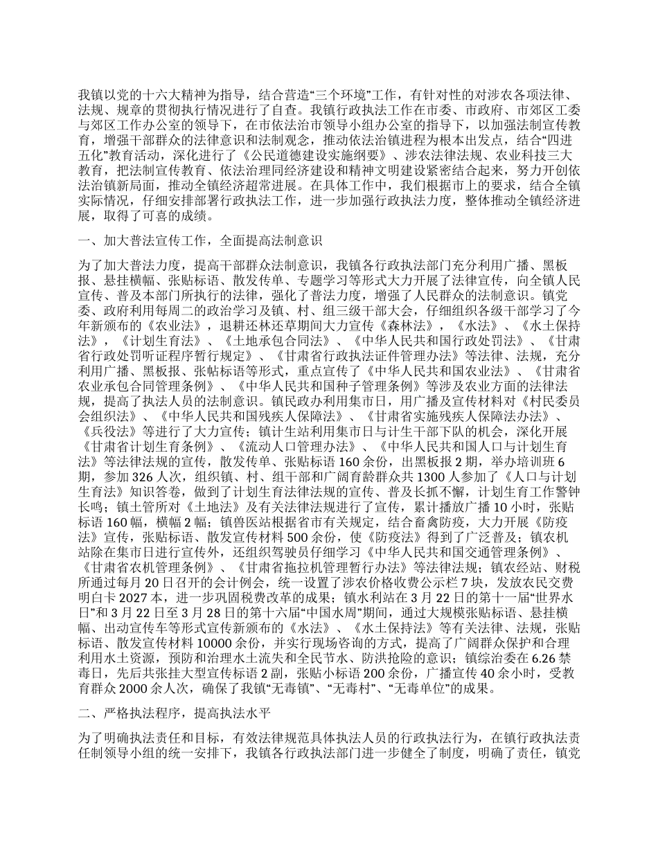 行政执法工作自查总结_第1页