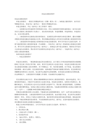 补选支部委员程序