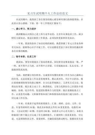见习生试用期个人工作总结范文