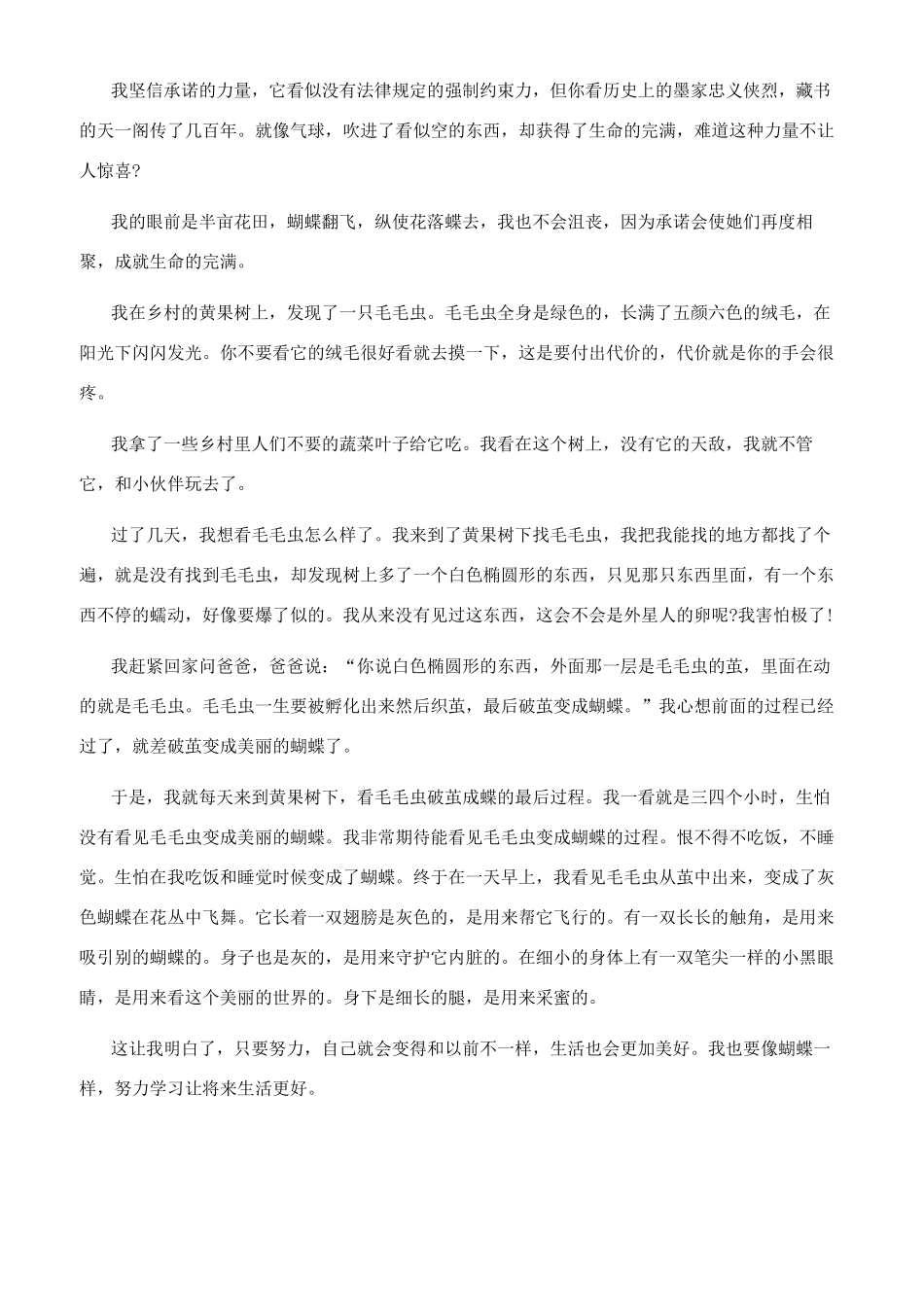 观察小蝴蝶作文_第3页
