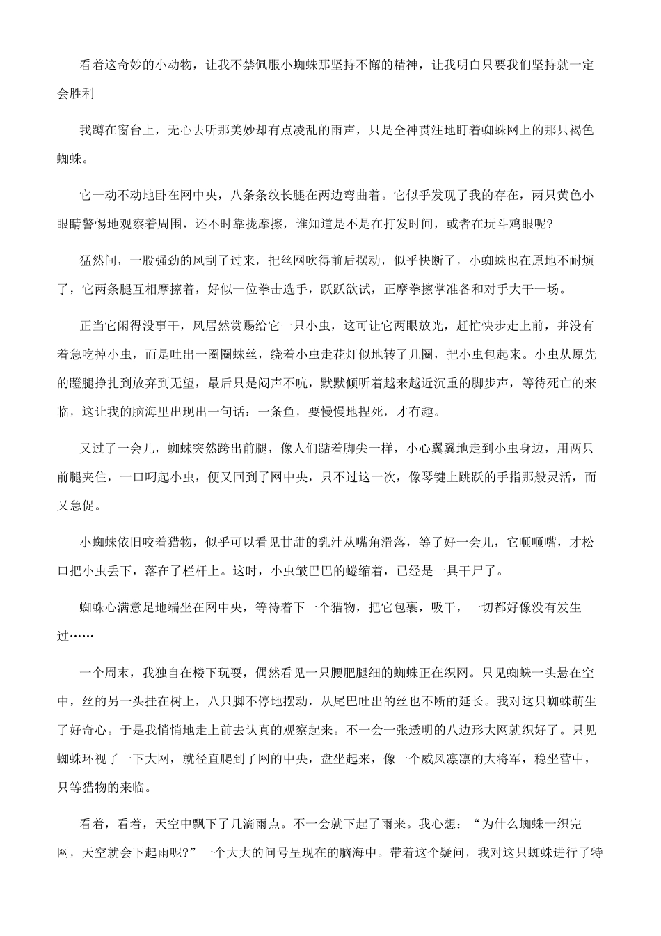 观察蜘蛛日记300字_第3页