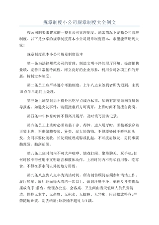规章制度小公司规章制度大全例文