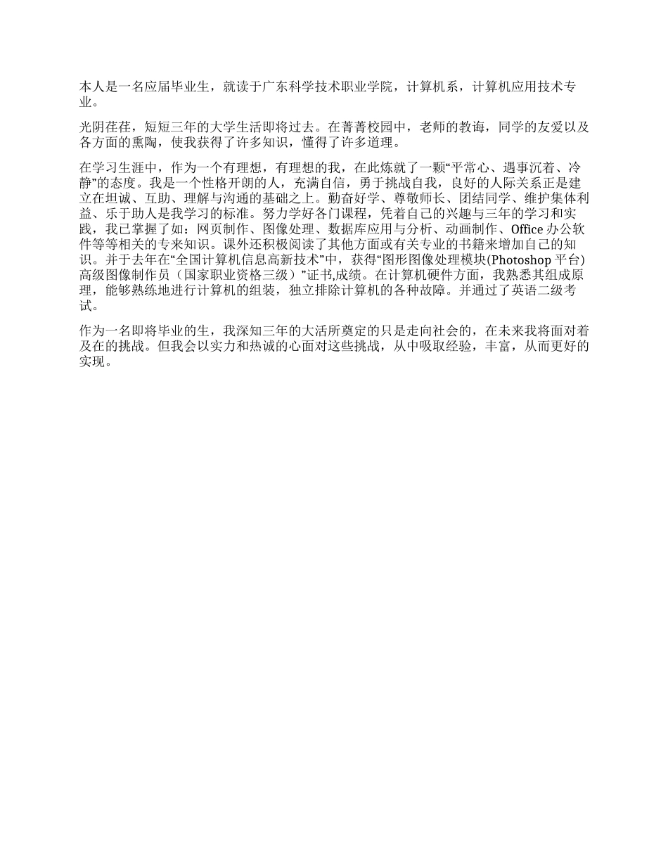 计算机应用自我鉴定_第2页