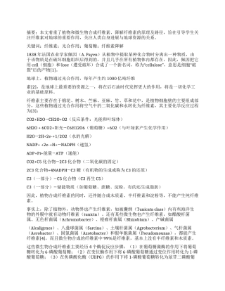 认识光合作用保护绿色生态环境