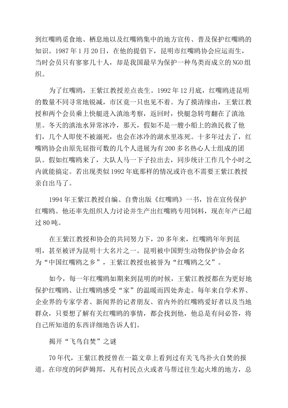 让鸟儿快乐地飞翔_第2页