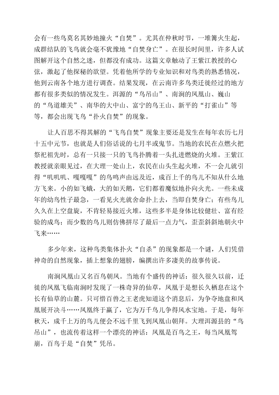 让鸟儿快乐地飞翔_第3页