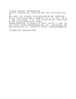 记暑假中的一件趣事作文