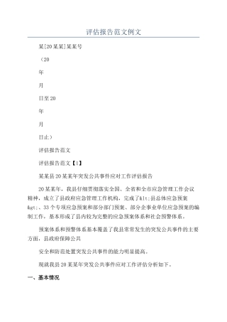 评估报告范文例文