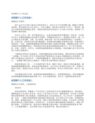 试用期个人工作总结