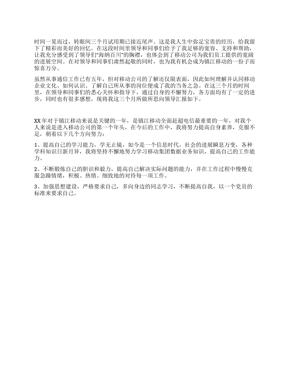 试用期工作总结与体会_第1页
