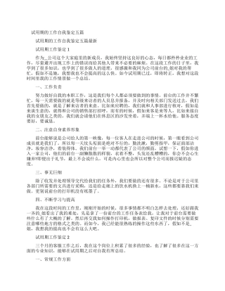 试用期工作小结