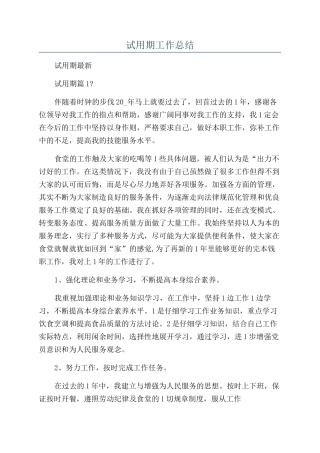 试用期工作总结