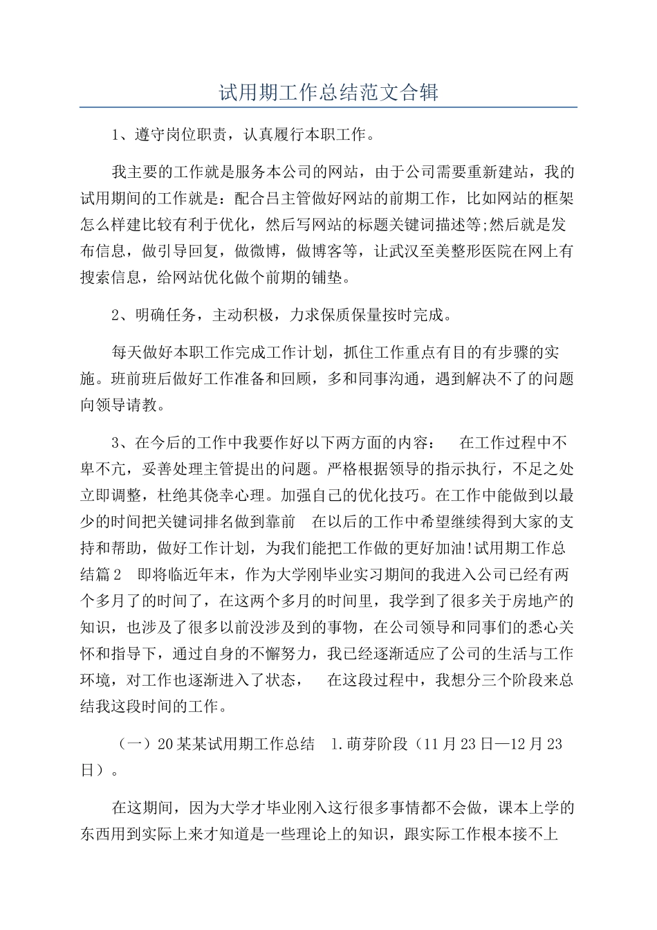 试用期工作总结范文合辑_第1页