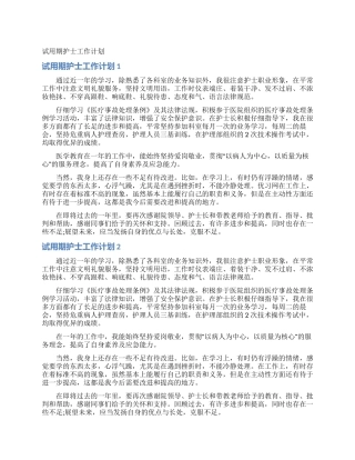 试用期护士工作计划