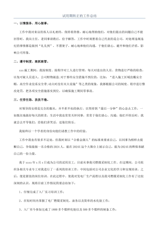 试用期转正的工作总结