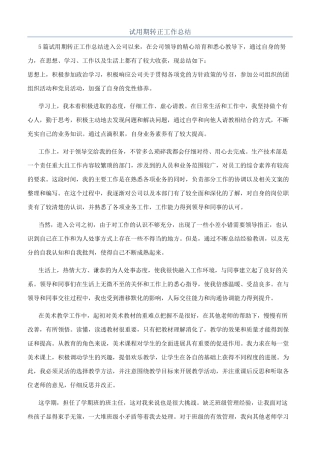 试用期转正工作总结