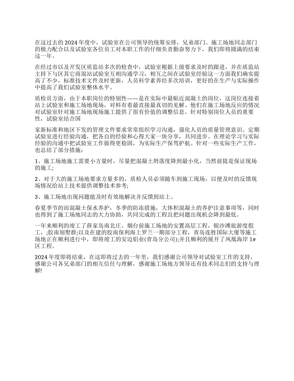 试验室2024年工作总结_第1页