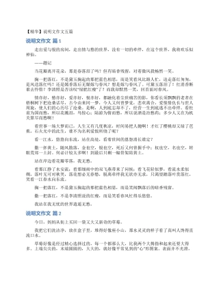 说明文作文五篇