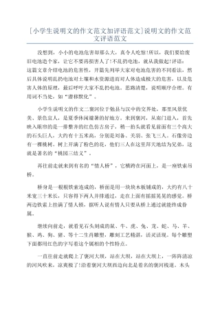 说明文的作文范文评语范文