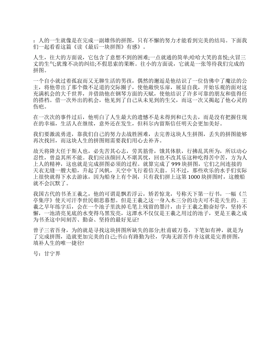 读《最后一块拼图》有感_第1页