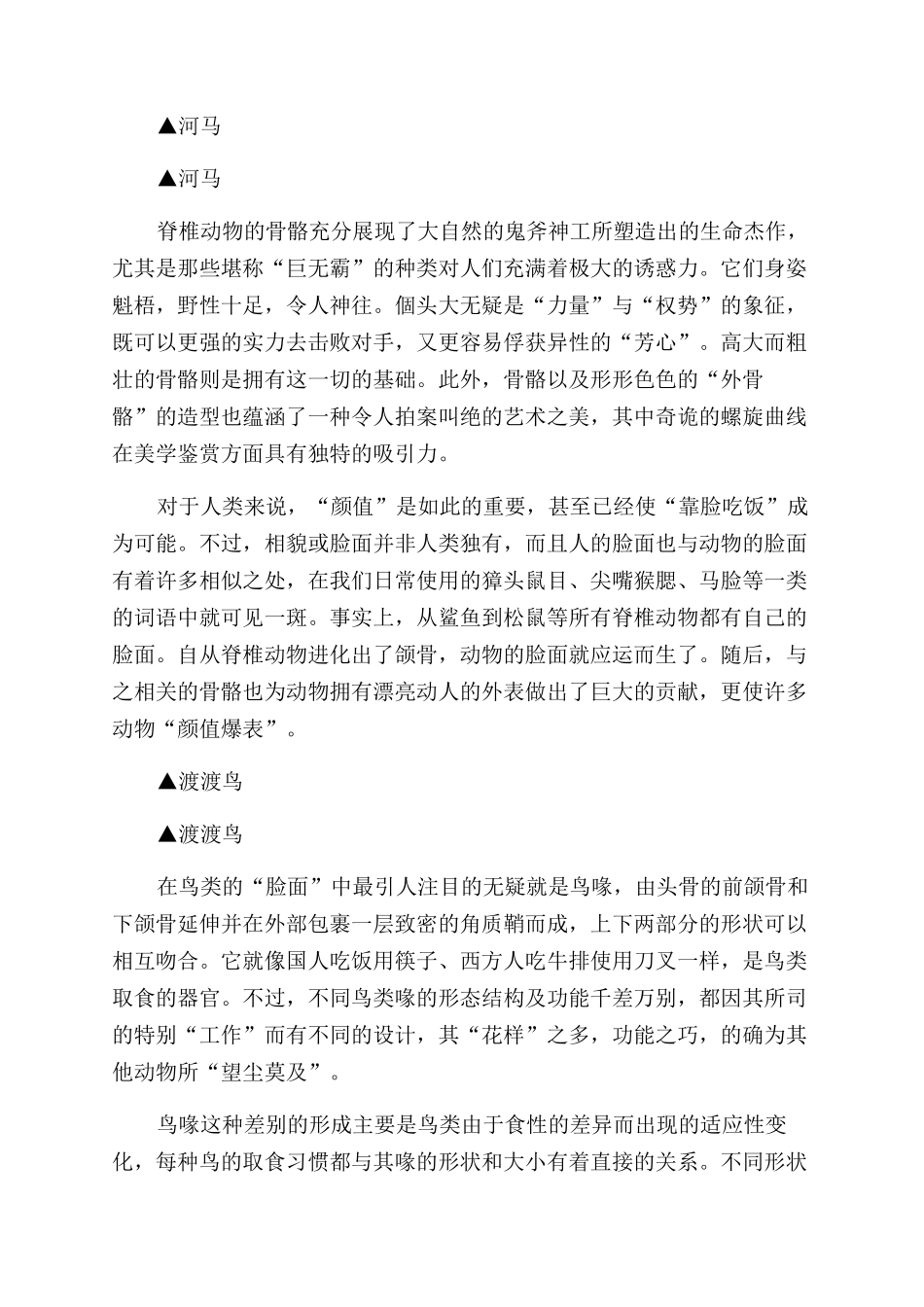 读懂骨骼的故事《生命的支撑—动物骨骼的奇妙探索》_第3页