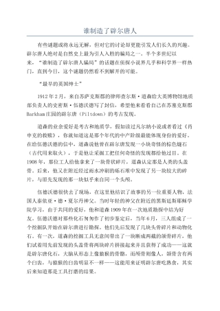 谁制造了辟尔唐人