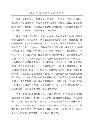 调研报告范文个人总结范文