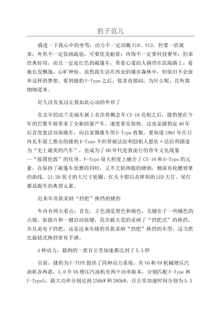 豹子范儿-精品文档