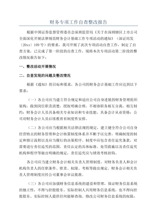 财务专项工作自查整改报告