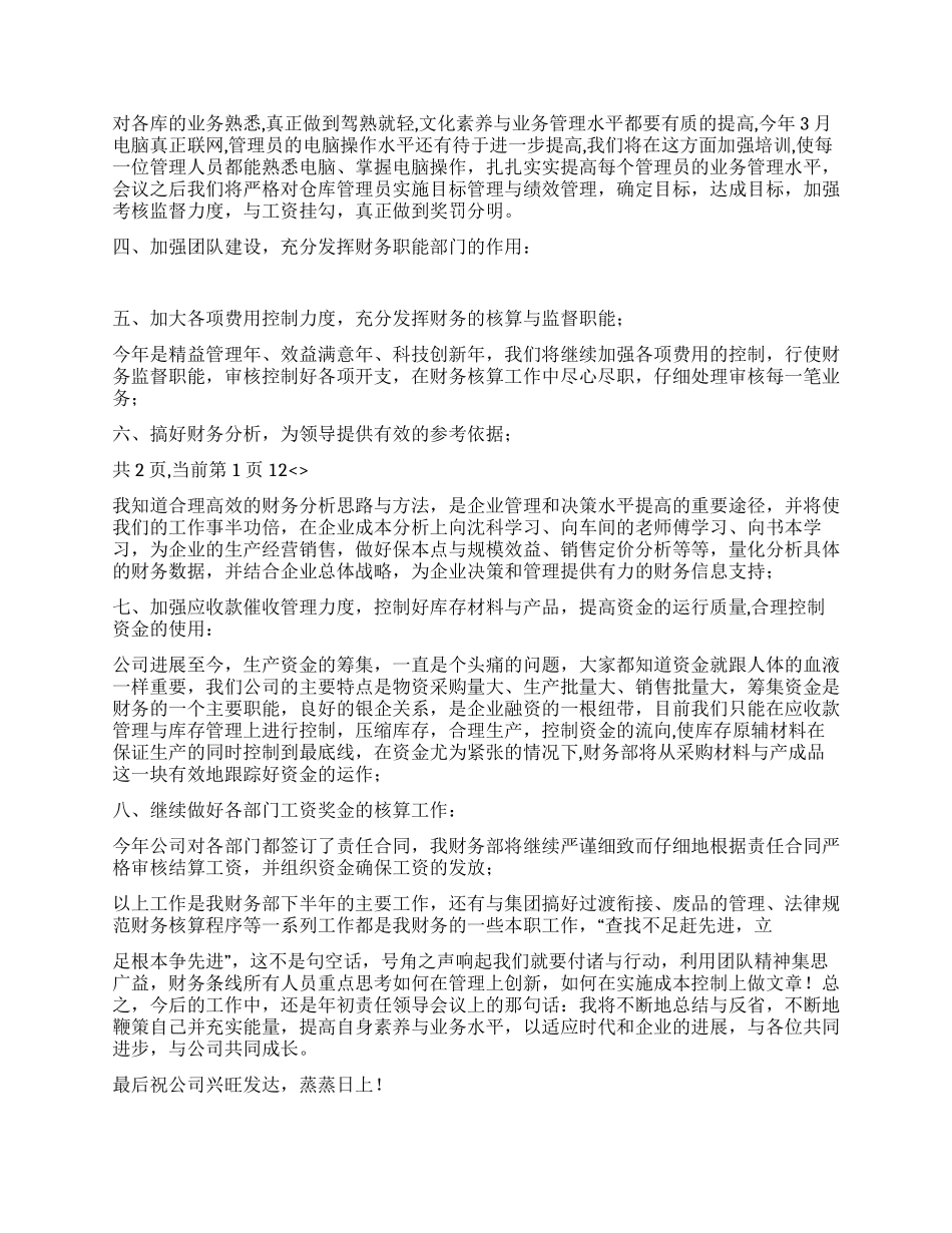 财务人员XX年上半年个人工作总结_第2页