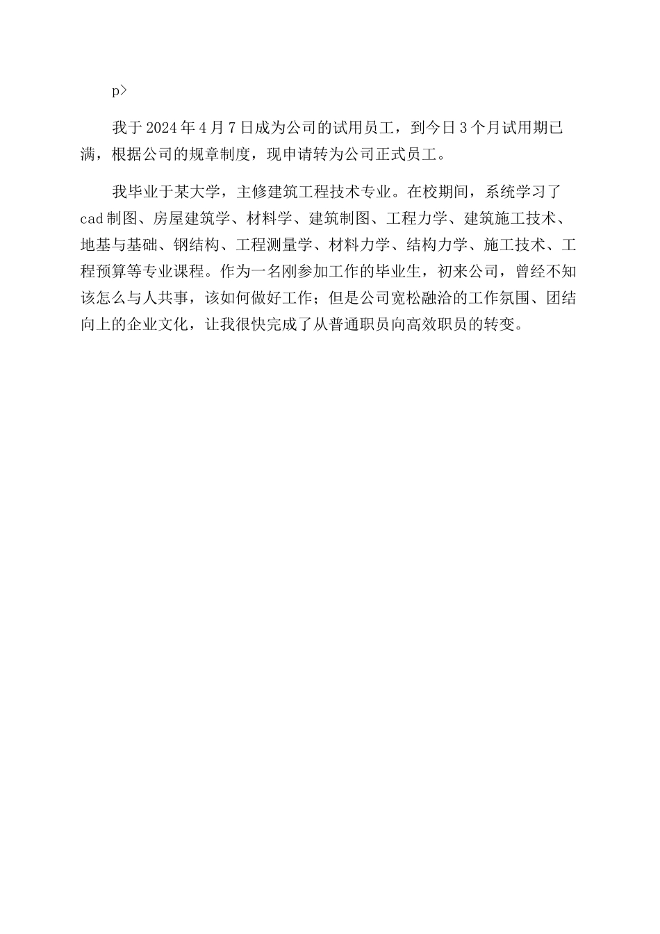 财务人员试用期个人工作总结范文_第3页