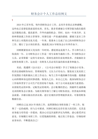 财务会计个人工作总结例文