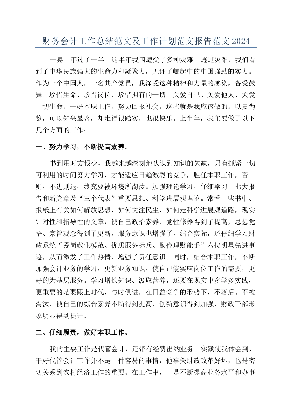 财务会计工作总结范文及工作计划范文报告范文2024_第1页