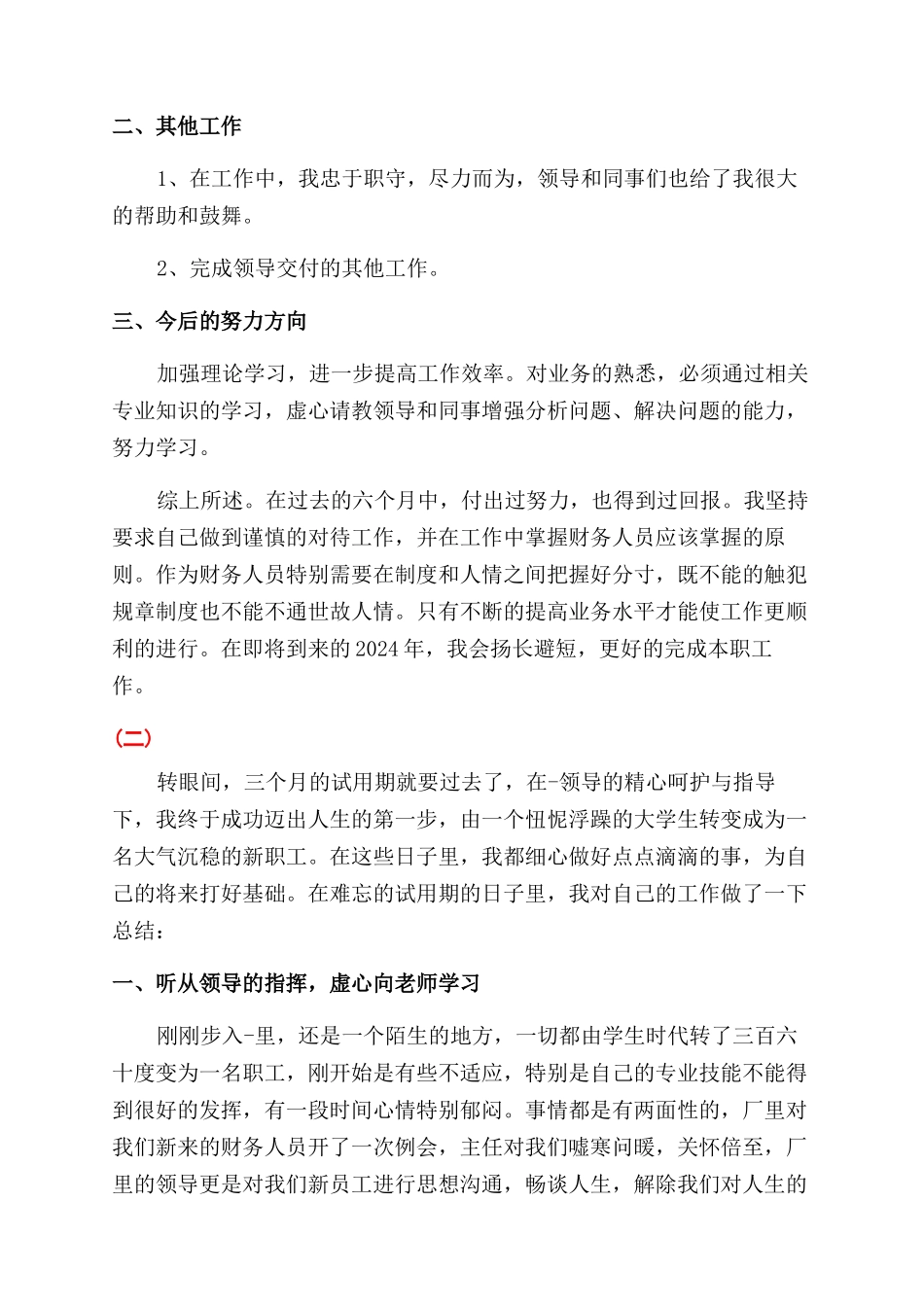 财务出纳个人试用期转正工作总结范文_第2页