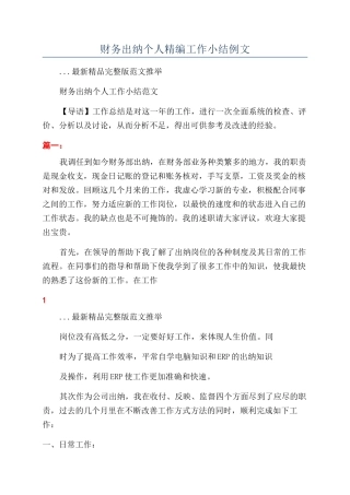 财务出纳个人精编工作小结例文