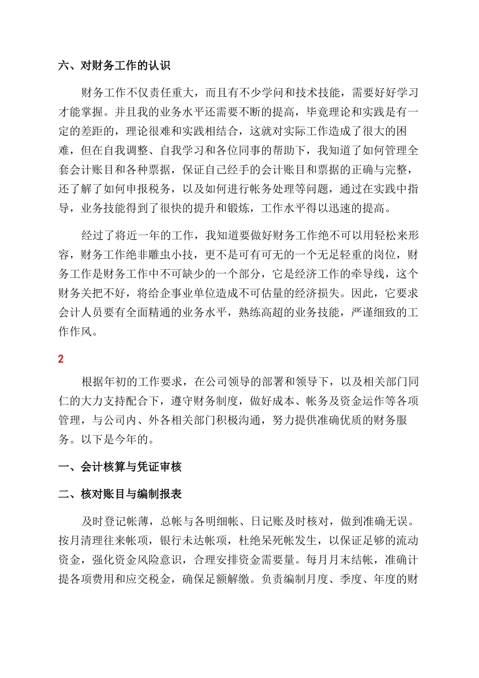 财务工作个人总结例文_第2页