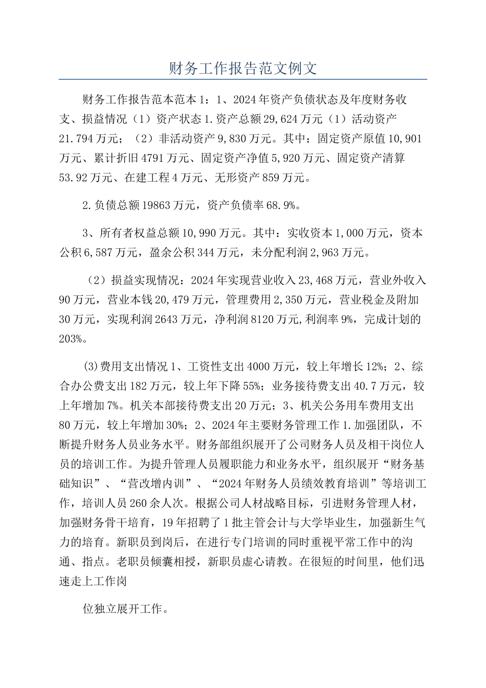 财务工作报告范文例文_第1页