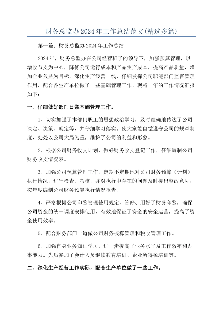 财务总监办2024年工作总结范文_第1页